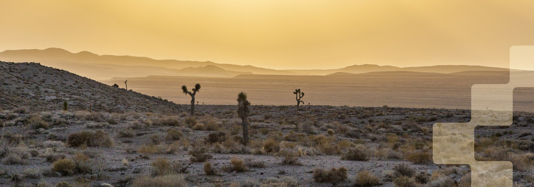 Luna County Resources Share New Mexico